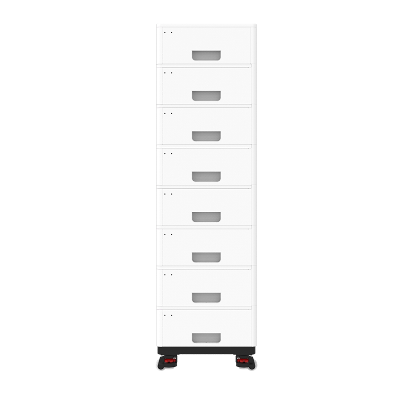 FLS48100SG1